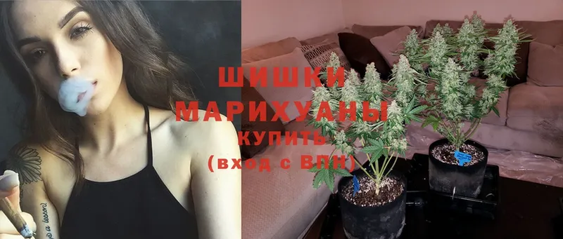 Бошки марихуана THC 21%  Североуральск 